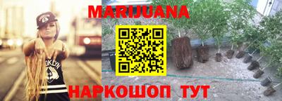 индика Нальчик