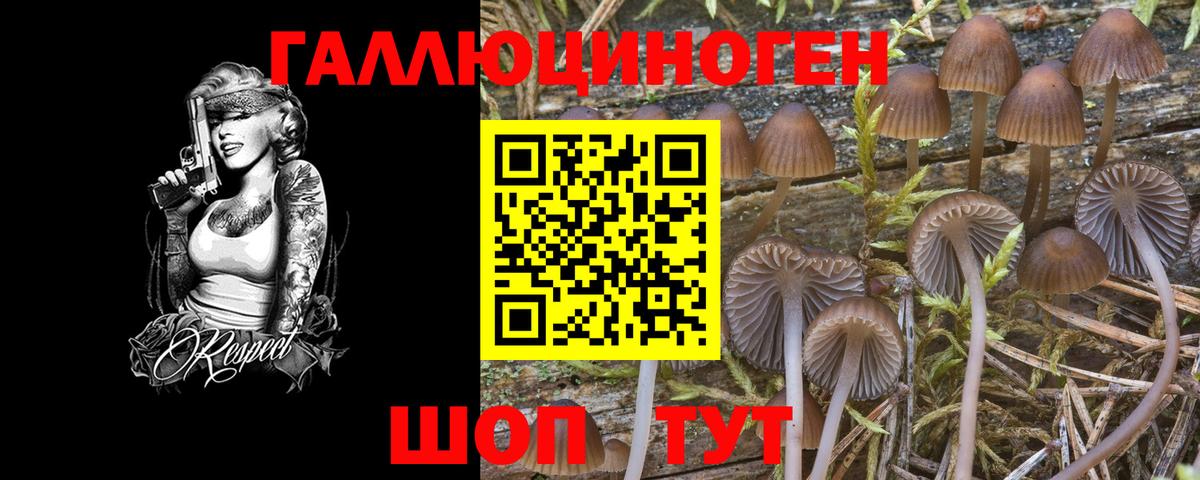 Псилоцибиновые грибы GOLDEN TEACHER  Вход с VPN  купить наркотики сайты  Владикавказ 
